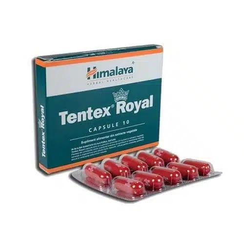 Himalaya-Tentex-Royal.jpg